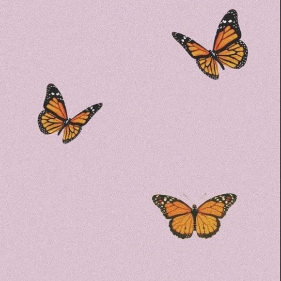 Meet your Posher, Nevaeh - Picture 1 of 1